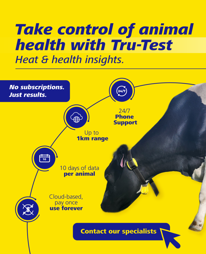 ACTIVE COLLAR SMT BANNER MOBILE