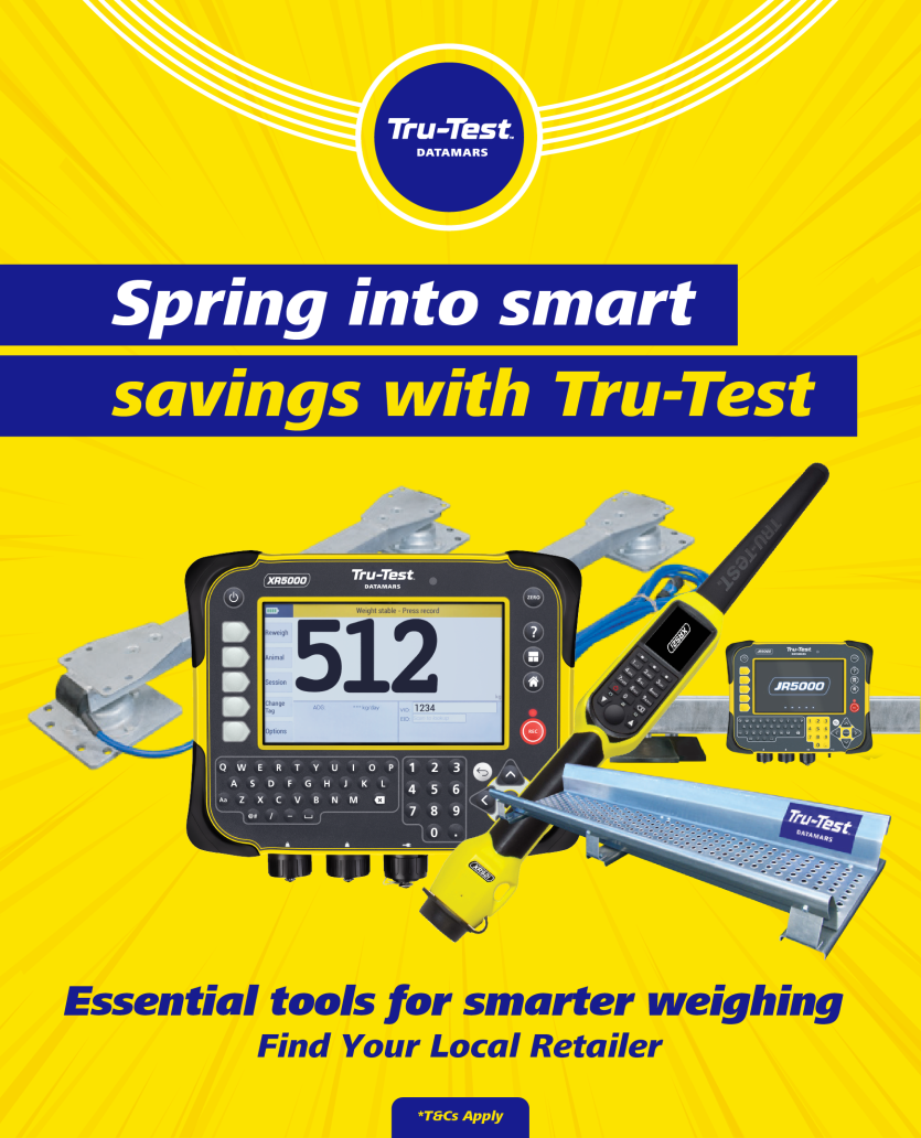 Spring Weigh Campaign mobile