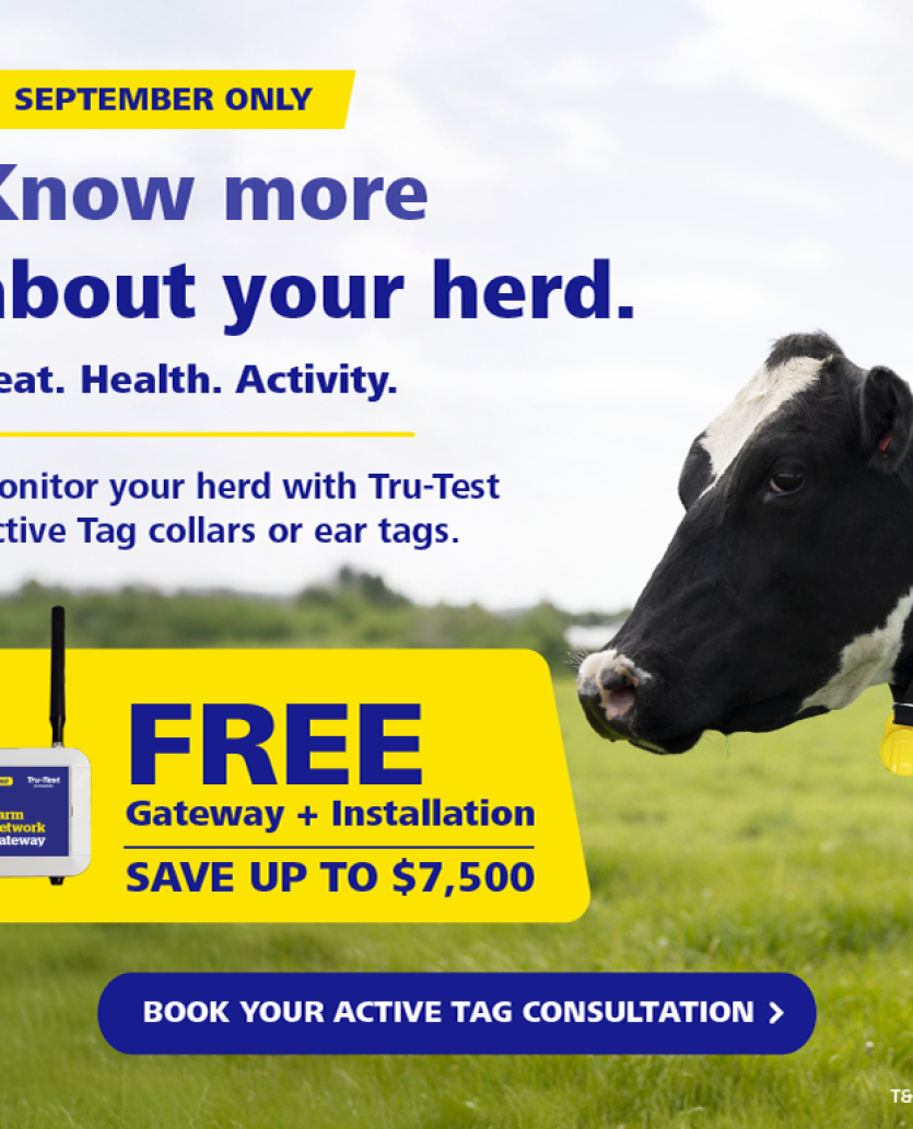 Active Tags Promo September Web banner para mobile 