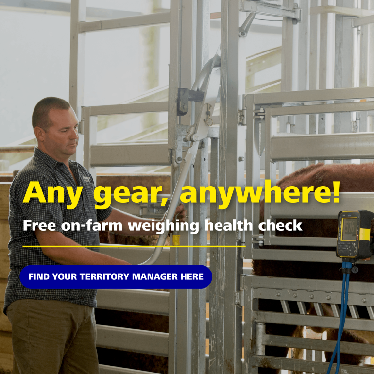 TT NZ Free on-farm health check Banner mobile