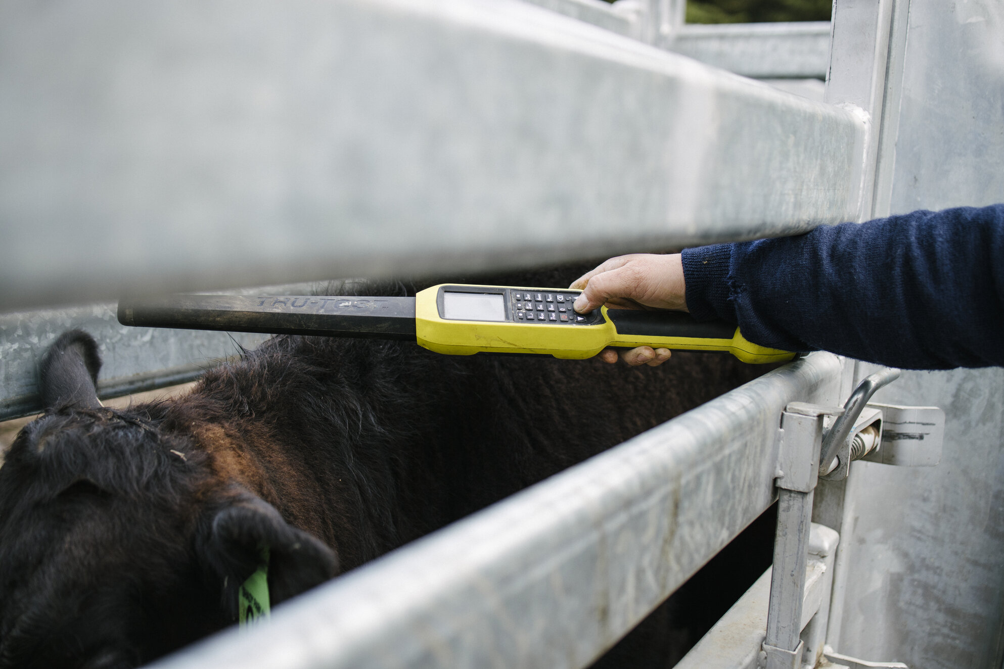 Reliable and User-friendly Solutions Keeps Farm on Track Case Study
