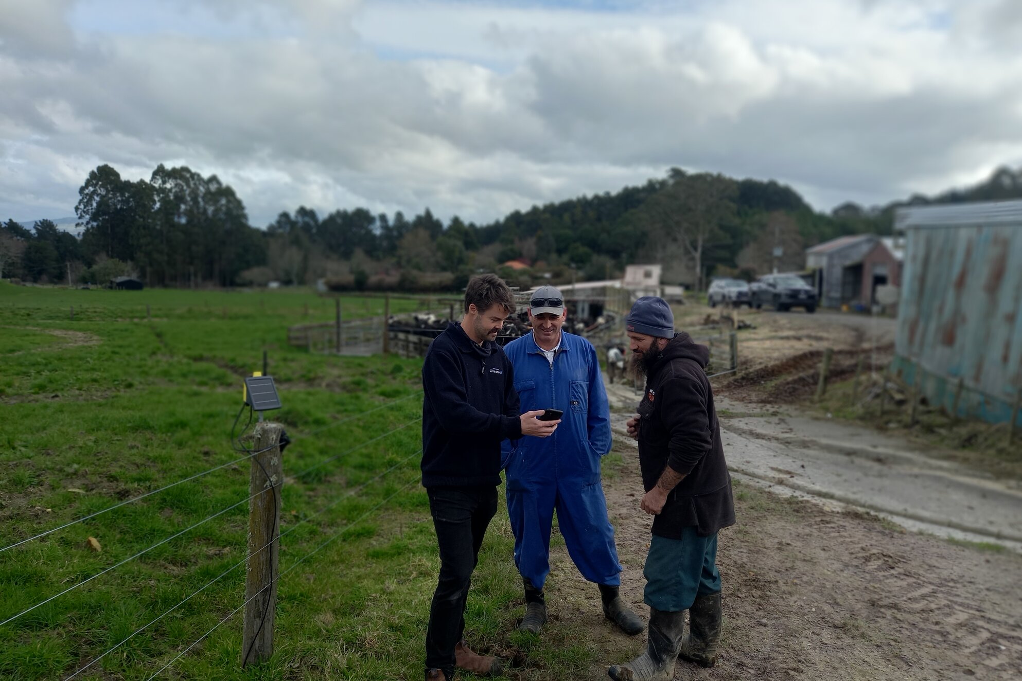 Innovative farmers leverage Tru-Test Fence Monitoring 