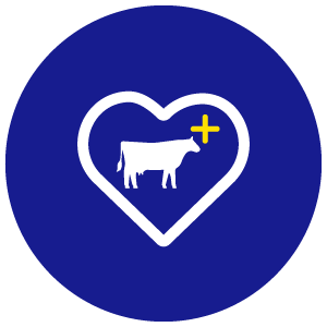 Product icon - Animal Health