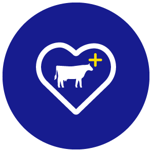 Product icon - Animal Health