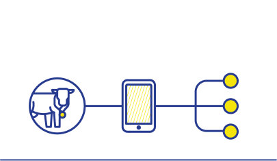 How it works step 6