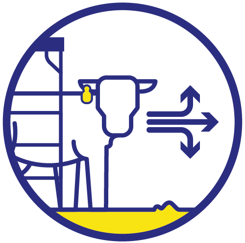 TT-Active-Tags-Efficiency