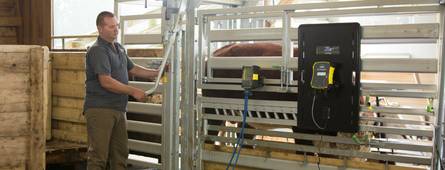 Handling Category Banner