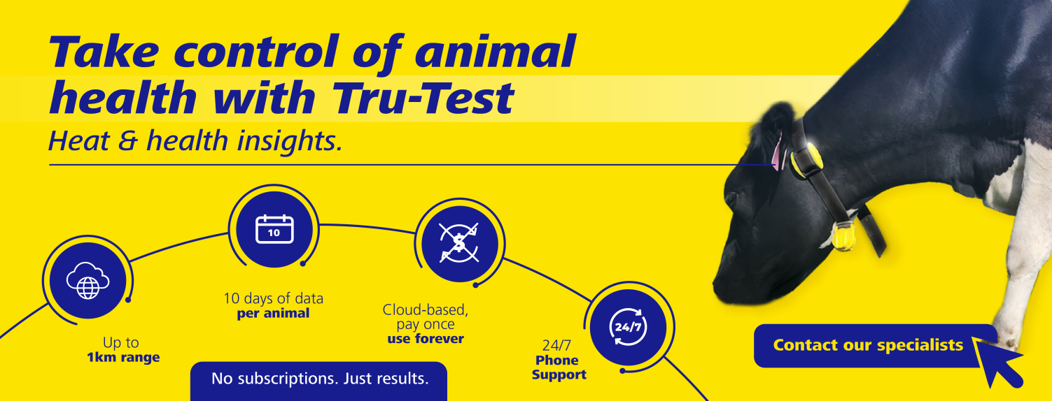 ACTIVE COLLAR SMT BANNER