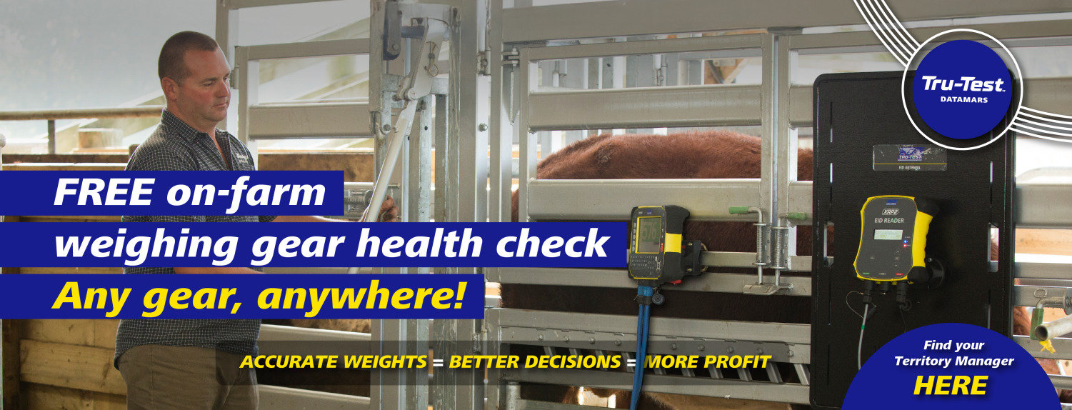 Health Check Gear