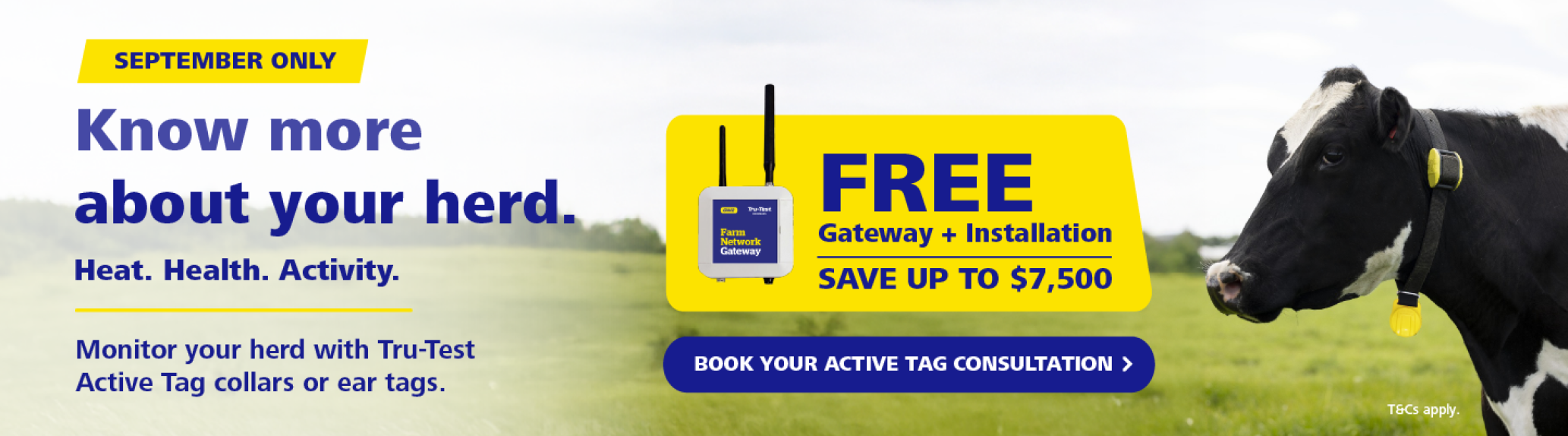 Active Tags Promo September Web banner para desktop